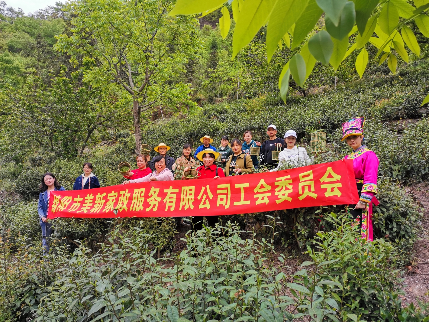 &#31859;&#20848;&#31449;&#32593;&#39029;&#29256;&#45;&#31859;&#20848;&#40;&#20013;&#22269;&#41;